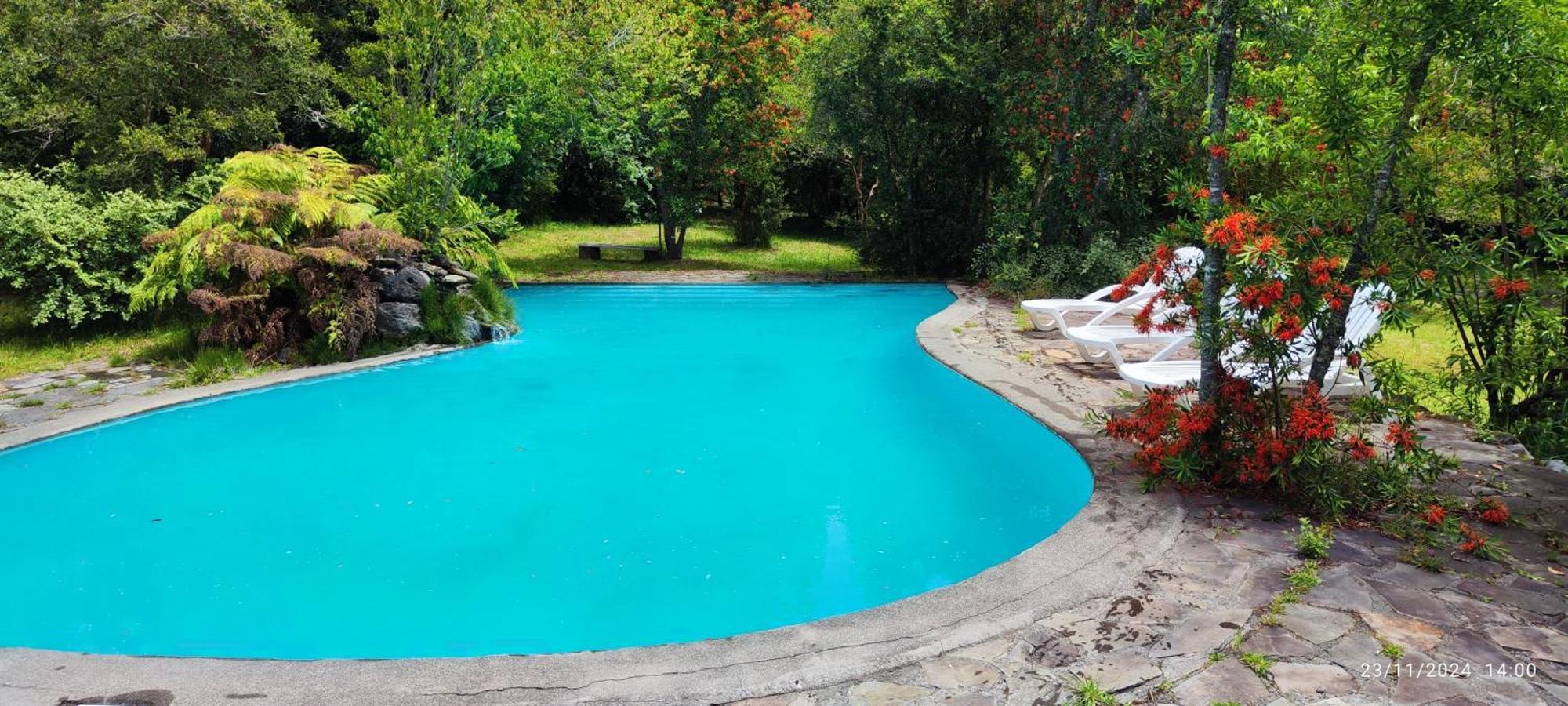 Bambu Lodge Pucón Екстериор снимка