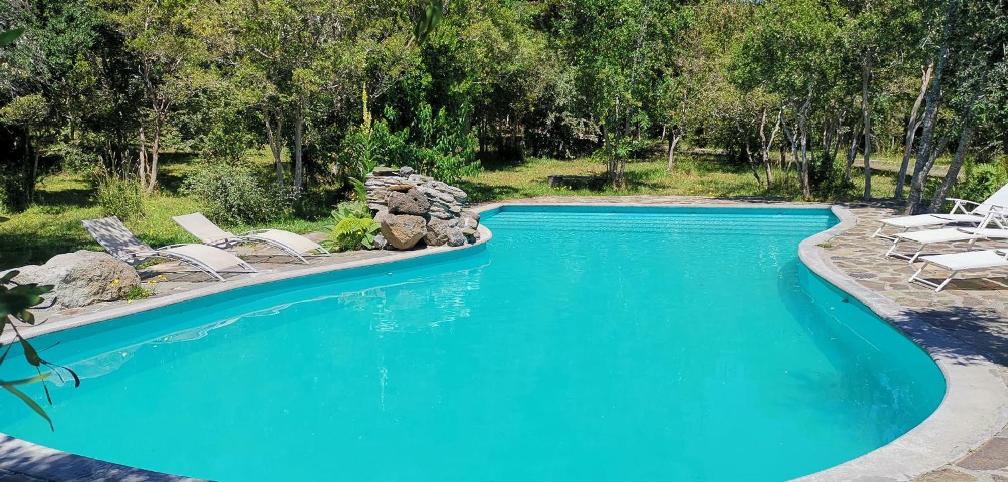 Bambu Lodge Pucón Екстериор снимка
