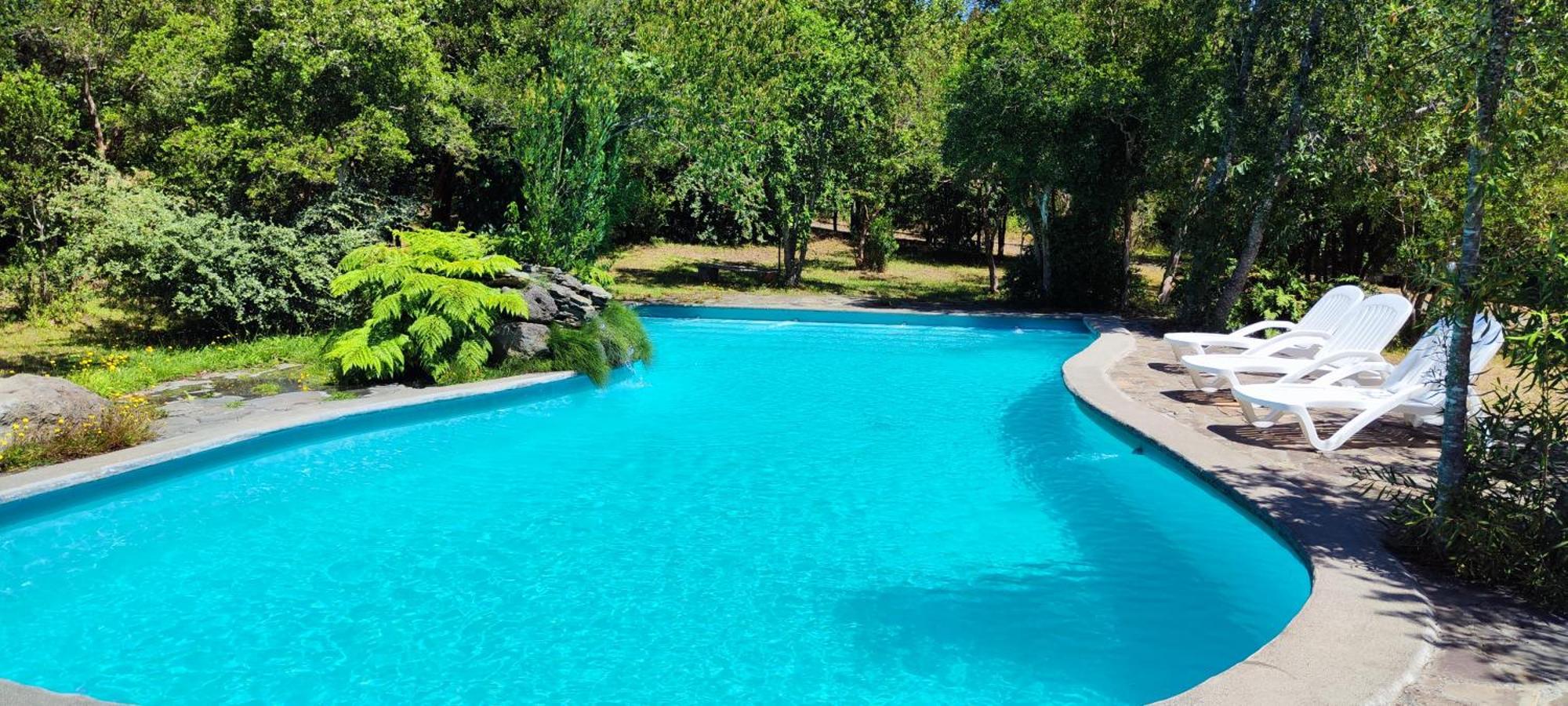 Bambu Lodge Pucón Екстериор снимка