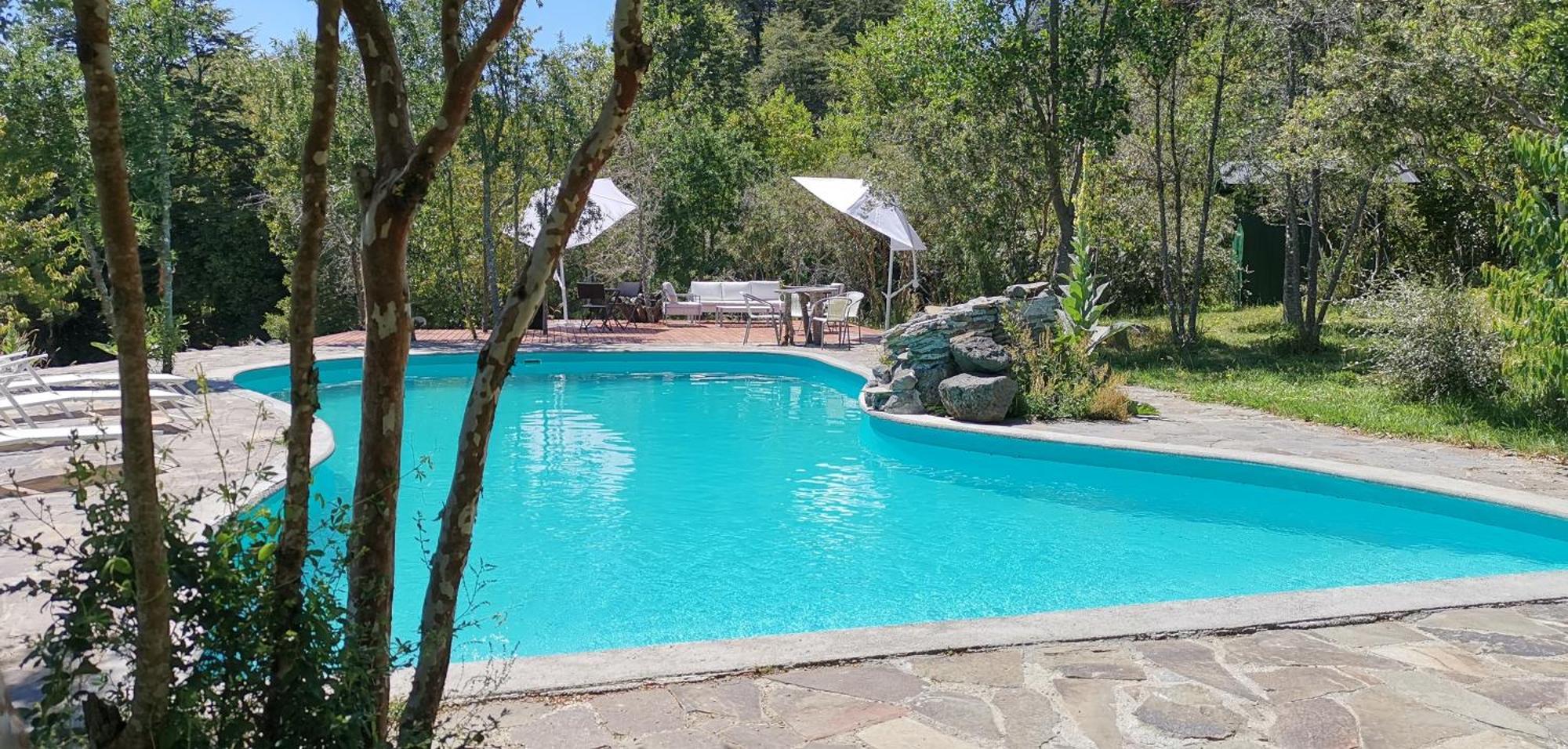 Bambu Lodge Pucón Екстериор снимка